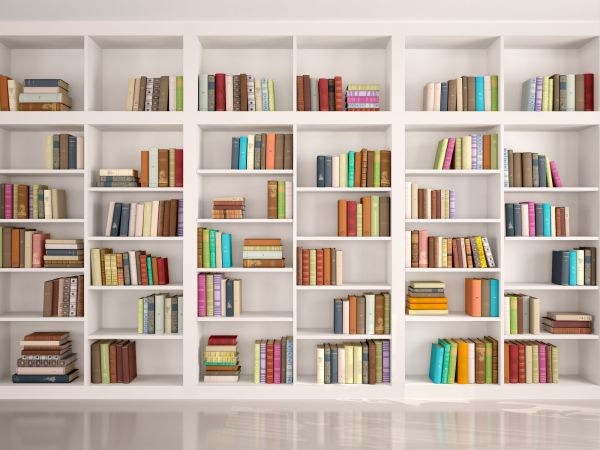 Bookshelf Assembly in Pleasanton